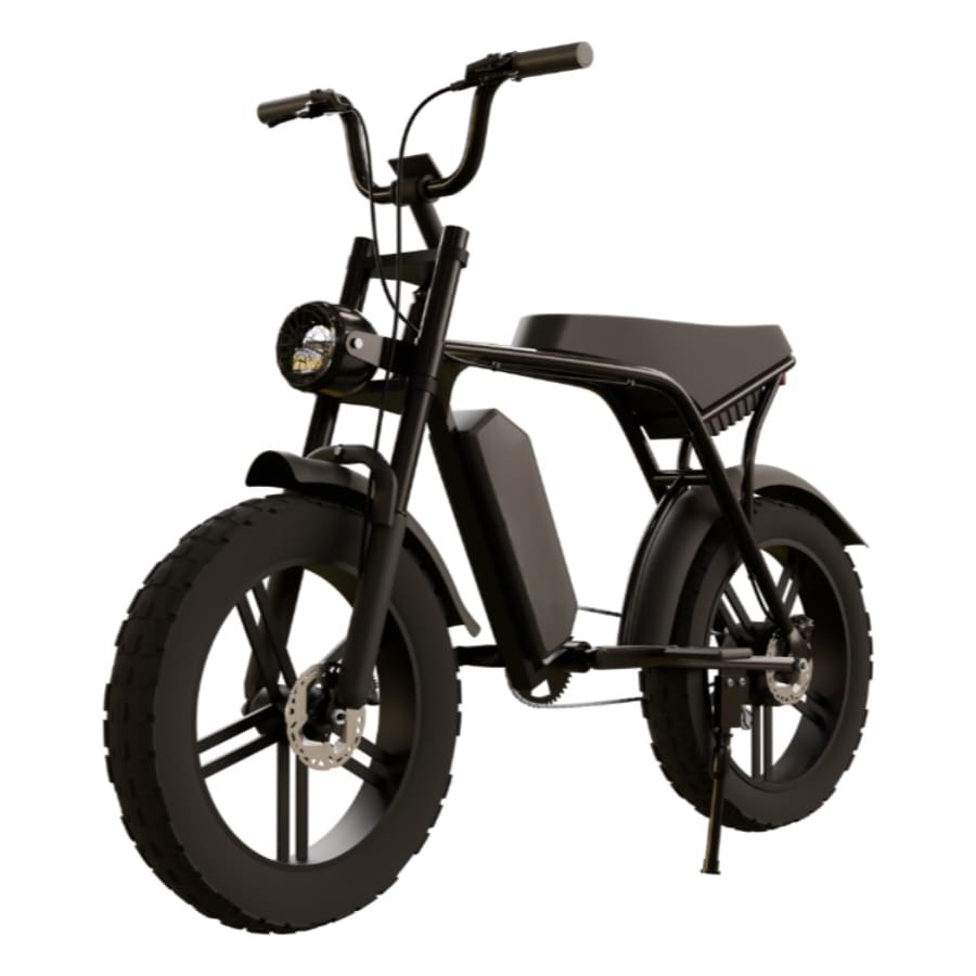 Brushless Electric Motor Fat Tyre High Speed Ebike